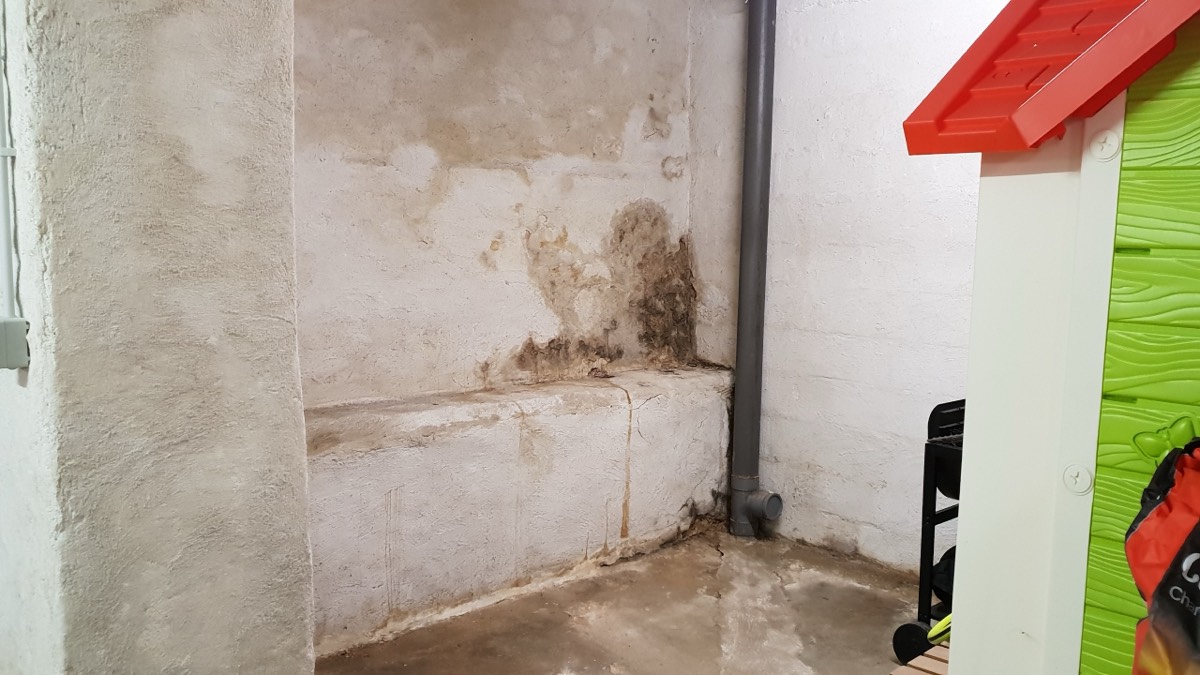 Infiltrations d'eau - Expertise humidité à Pau